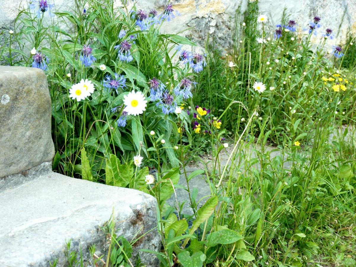 Ein Platz Fuer Ruhe Und Naturgenuss Sebnitz Exterior photo